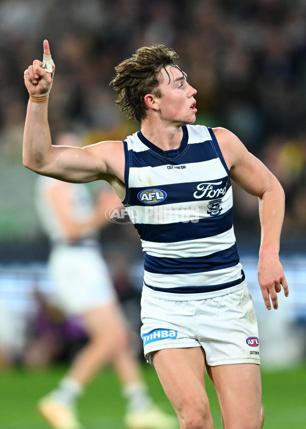 AFL Rd 9 - Richmond v Geelong - A-1482334