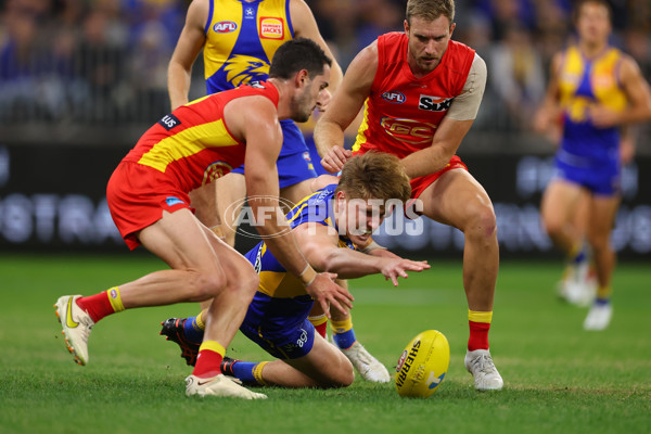 AFL Rd 9 - West Coast v Gold Coast - A-1482359