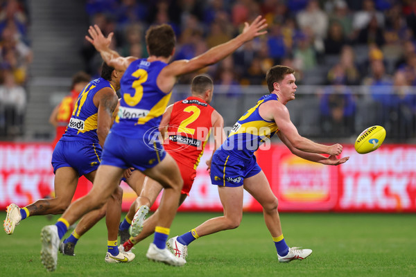 AFL Rd 9 - West Coast v Gold Coast - A-1482373