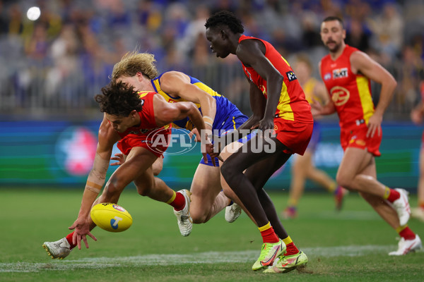 AFL Rd 9 - West Coast v Gold Coast - A-1484265