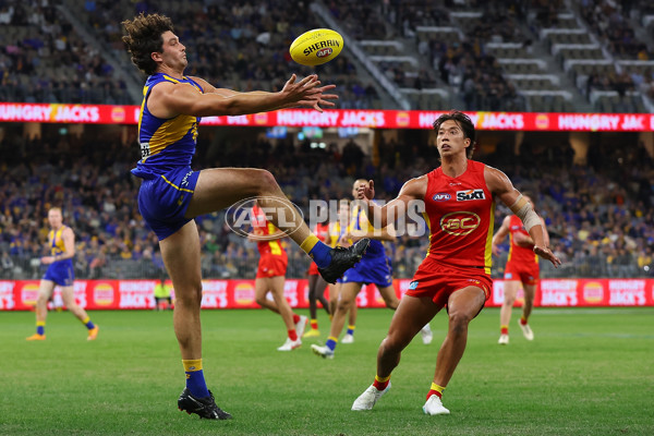 AFL Rd 9 - West Coast v Gold Coast - A-1487637