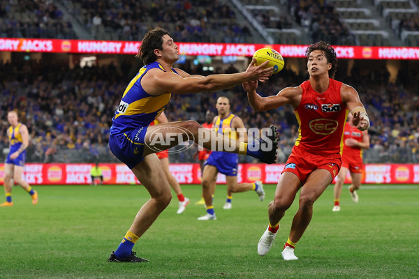 AFL Rd 9 - West Coast v Gold Coast - A-1487640