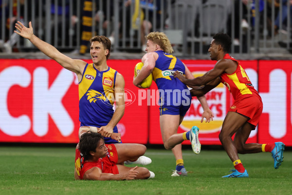 AFL Rd 9 - West Coast v Gold Coast - A-1487647