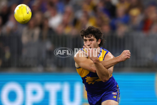 AFL Rd 9 - West Coast v Gold Coast - A-1487665