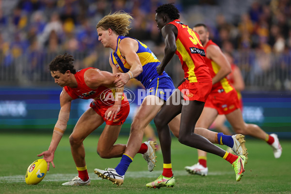 AFL Rd 9 - West Coast v Gold Coast - A-1487668