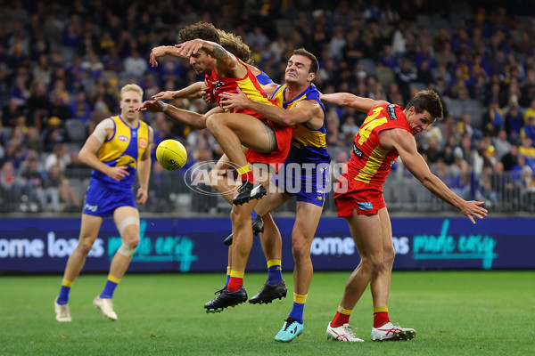 AFL Rd 9 - West Coast v Gold Coast - A-1488553