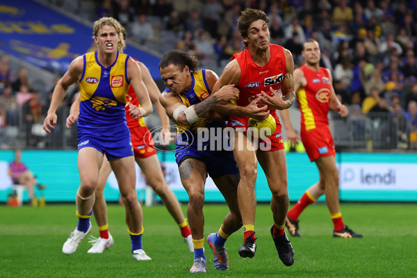 AFL Rd 9 - West Coast v Gold Coast - A-1488562