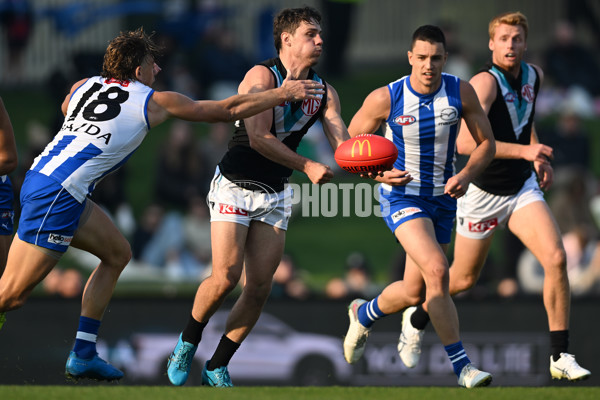 AFL Rd 9 - North Melbourne v Port Adelaide - A-1492064