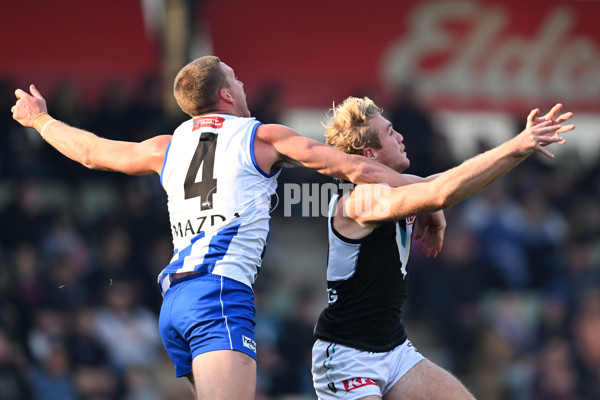 AFL Rd 9 - North Melbourne v Port Adelaide - A-1495012