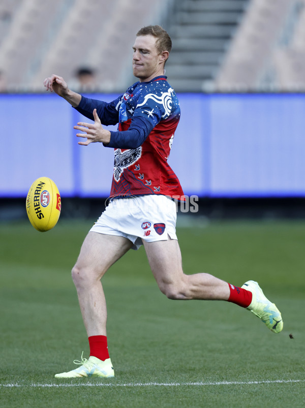 AFL Rd 9 - Hawthorn v Melbourne - A-1495998