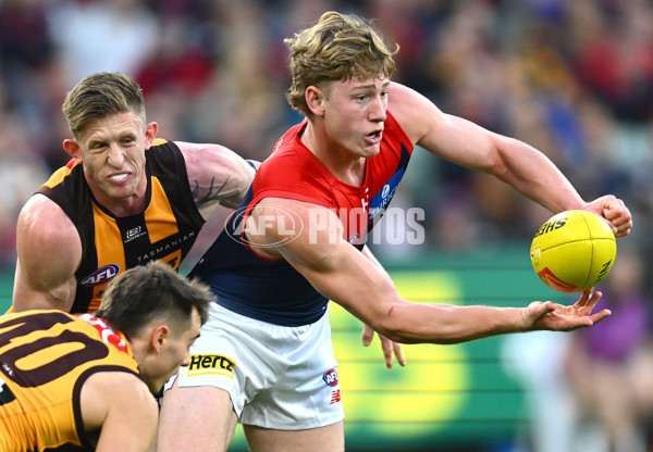 AFL Rd 9 - Hawthorn v Melbourne - A-1501631