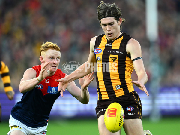 AFL Rd 9 - Hawthorn v Melbourne - A-1501649