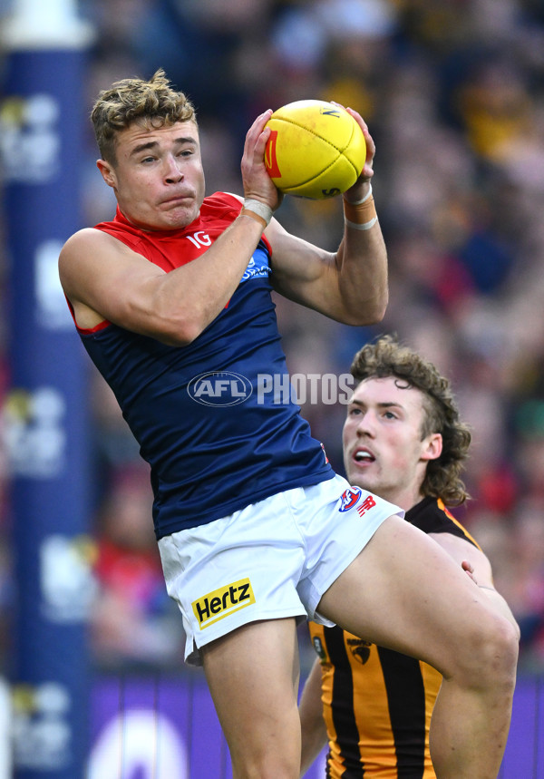 AFL Rd 9 - Hawthorn v Melbourne - A-1501781