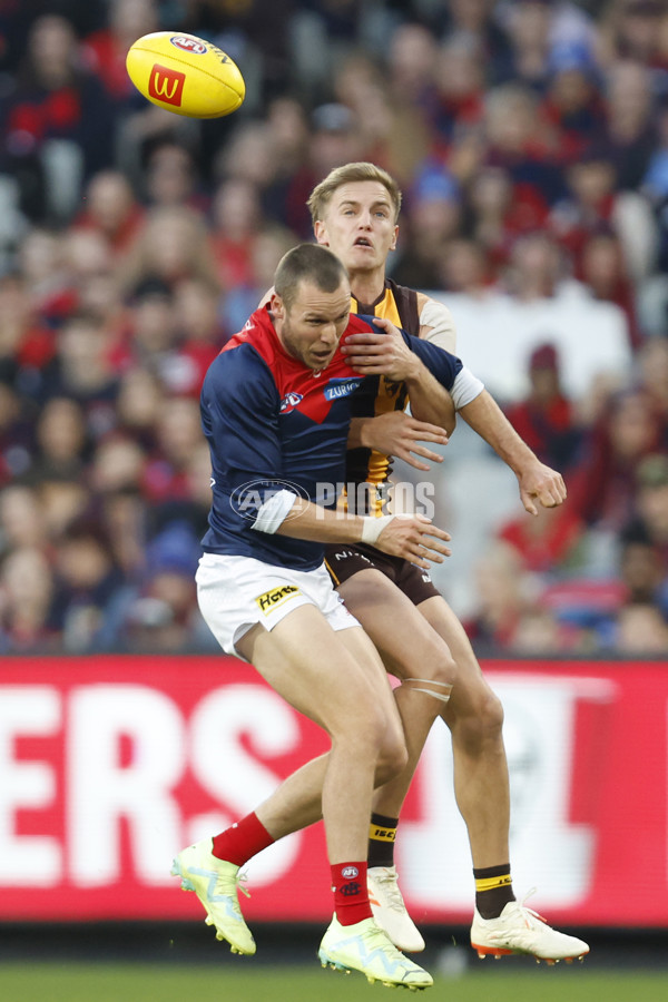 AFL Rd 9 - Hawthorn v Melbourne - A-1501789