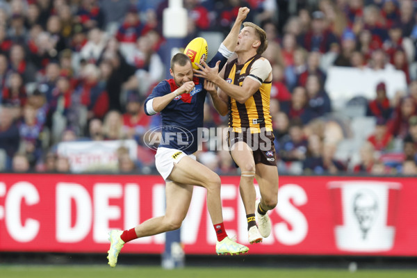 AFL Rd 9 - Hawthorn v Melbourne - A-1501790