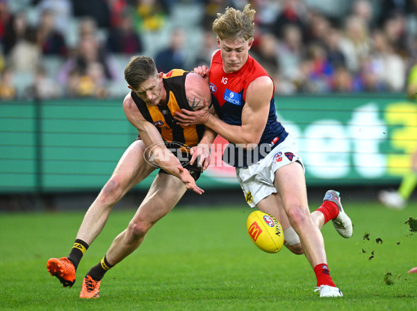 AFL Rd 9 - Hawthorn v Melbourne - A-1501810