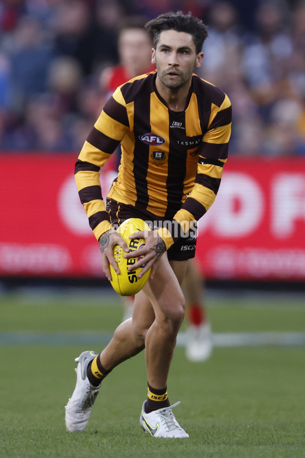 AFL Rd 9 - Hawthorn v Melbourne - A-1501813