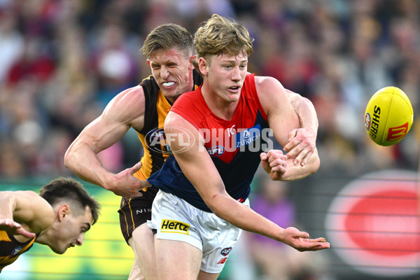 AFL Rd 9 - Hawthorn v Melbourne - A-1501816