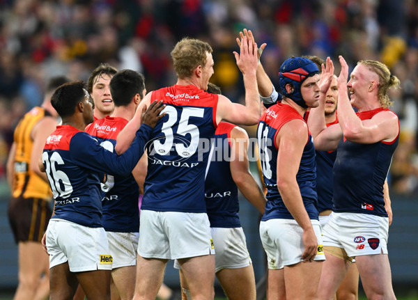 AFL Rd 9 - Hawthorn v Melbourne - A-1501826