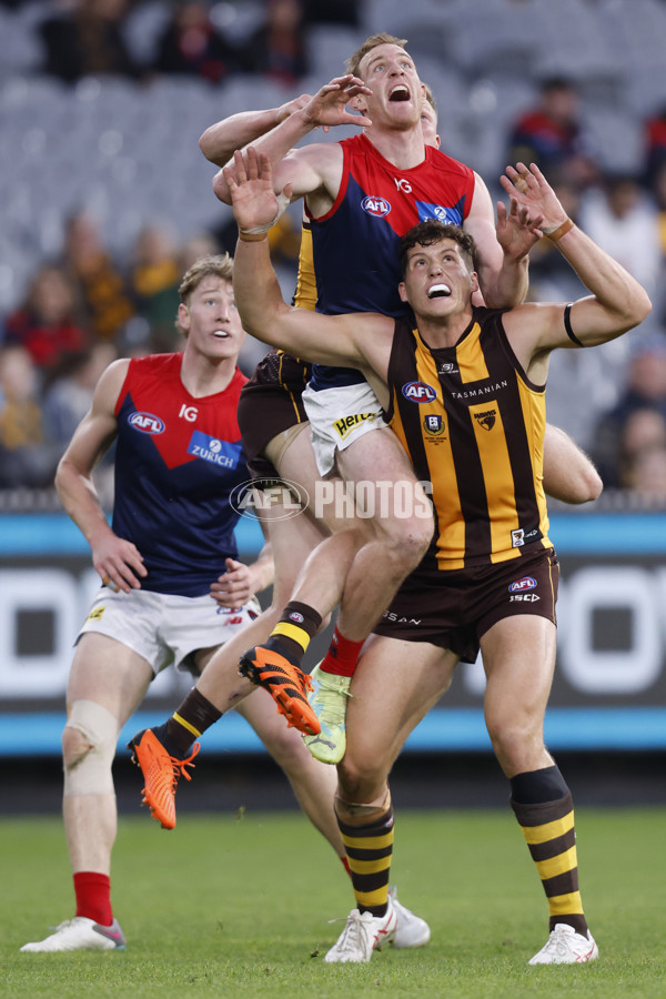 AFL Rd 9 - Hawthorn v Melbourne - A-1501827