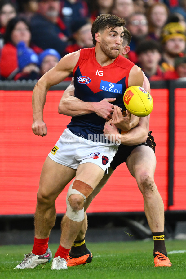 AFL Rd 9 - Hawthorn v Melbourne - A-1501830