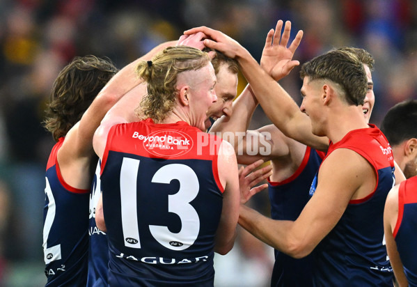 AFL Rd 9 - Hawthorn v Melbourne - A-1501837