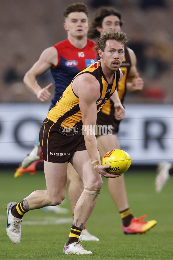 AFL Rd 9 - Hawthorn v Melbourne - A-1501850