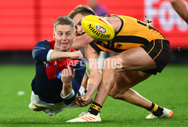 AFL Rd 9 - Hawthorn v Melbourne - A-1504632