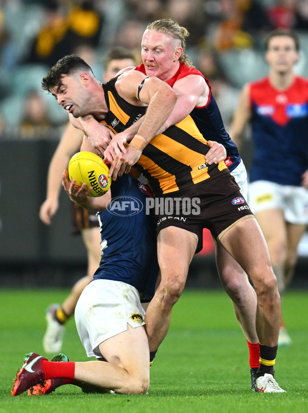 AFL Rd 9 - Hawthorn v Melbourne - A-1504939