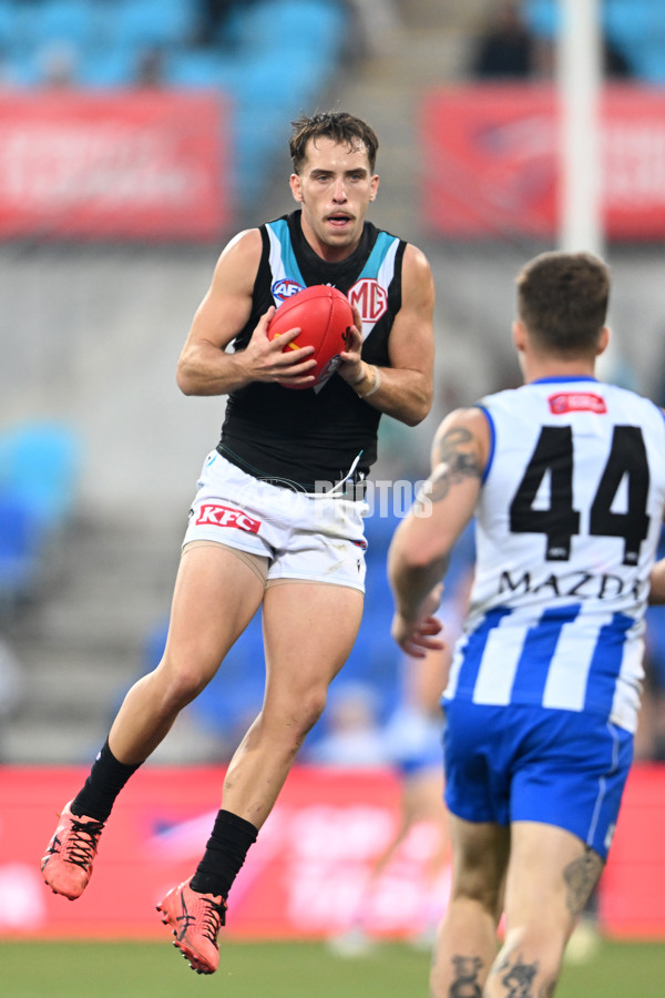 AFL Rd 9 - North Melbourne v Port Adelaide - A-1507330