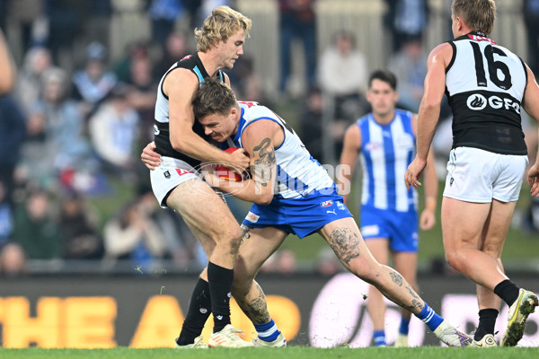 AFL Rd 9 - North Melbourne v Port Adelaide - A-1507343