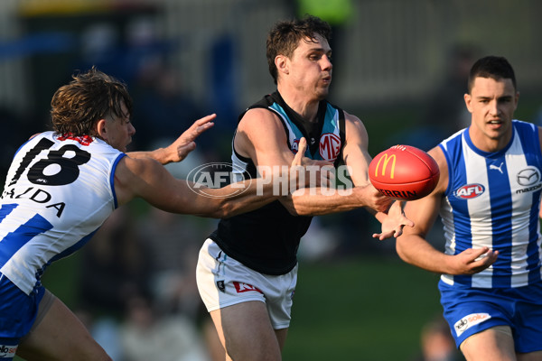 AFL Rd 9 - North Melbourne v Port Adelaide - A-1508460