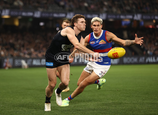 AFL Rd 9 - Carlton v Western Bulldogs - A-1511167