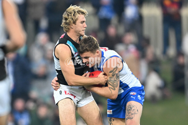 AFL Rd 9 - North Melbourne v Port Adelaide - A-1511171