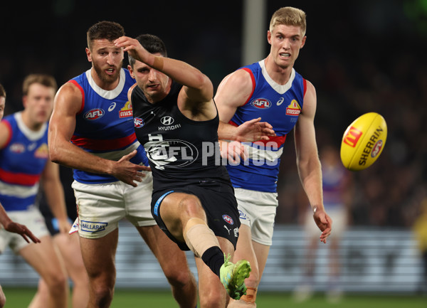 AFL Rd 9 - Carlton v Western Bulldogs - A-1511246