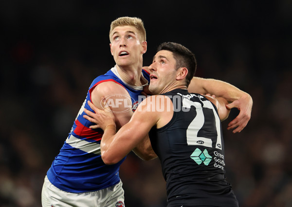 AFL Rd 9 - Carlton v Western Bulldogs - A-1511247