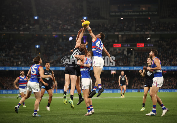 AFL Rd 9 - Carlton v Western Bulldogs - A-1513990