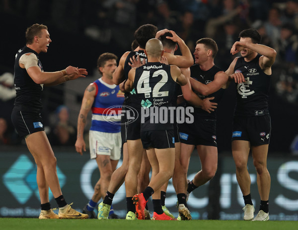 AFL Rd 9 - Carlton v Western Bulldogs - A-1514075