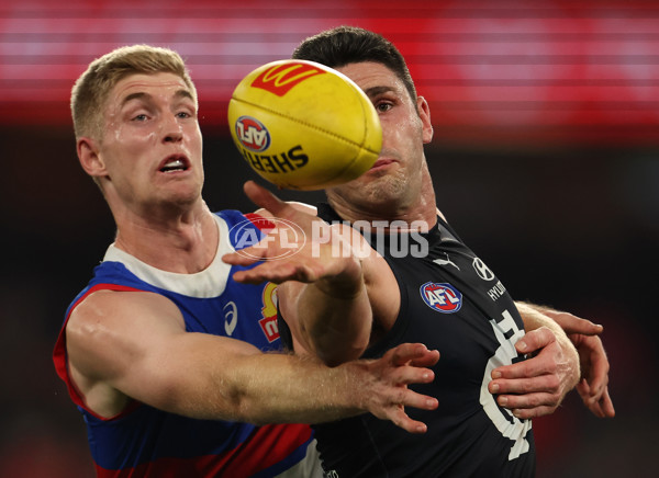 AFL Rd 9 - Carlton v Western Bulldogs - A-1516166