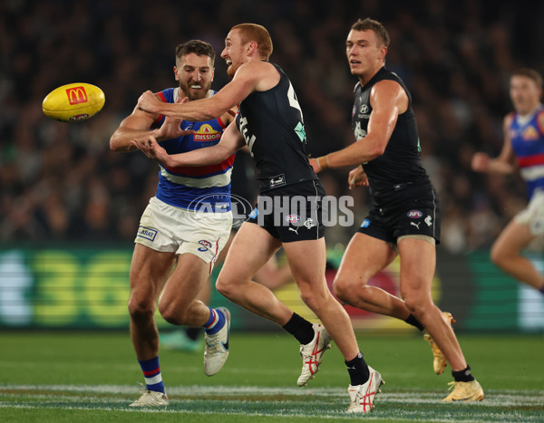 AFL Rd 9 - Carlton v Western Bulldogs - A-1517238