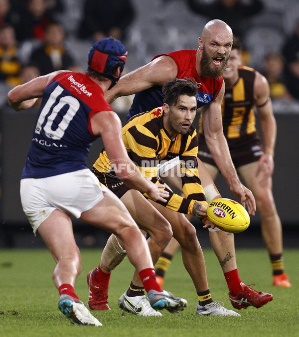 AFL Rd 9 - Hawthorn v Melbourne - A-1517248