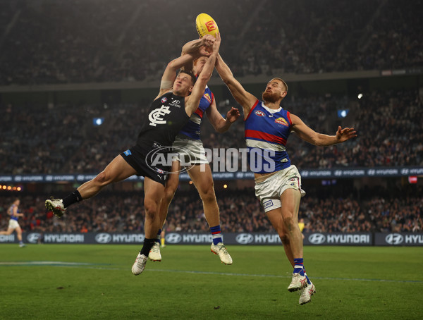 AFL Rd 9 - Carlton v Western Bulldogs - A-1517282