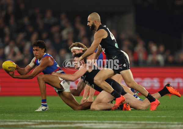 AFL Rd 9 - Carlton v Western Bulldogs - A-1517311