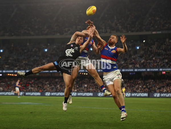 AFL Rd 9 - Carlton v Western Bulldogs - A-1519141