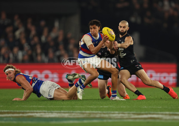 AFL Rd 9 - Carlton v Western Bulldogs - A-1519172