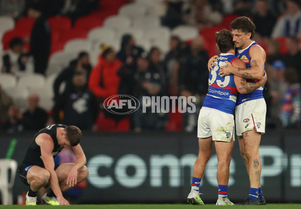 AFL Rd 9 - Carlton v Western Bulldogs - A-1520669