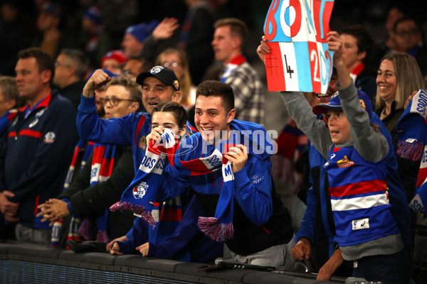 AFL Rd 9 - Carlton v Western Bulldogs - A-1520671