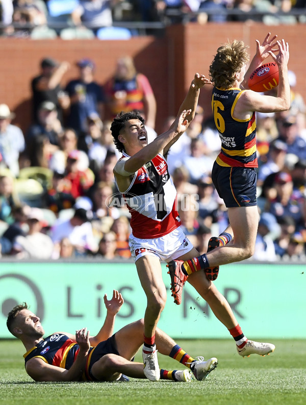 AFL Rd 9 - Adelaide v St Kilda - A-1520746