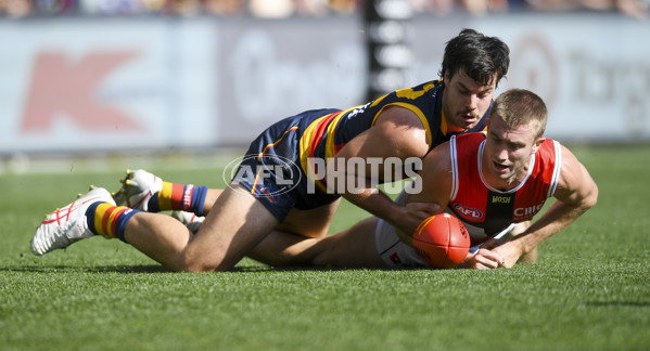 AFL Rd 9 - Adelaide v St Kilda - A-1520755