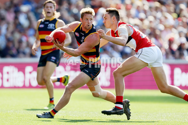 AFL Rd 9 - Adelaide v St Kilda - A-1523904